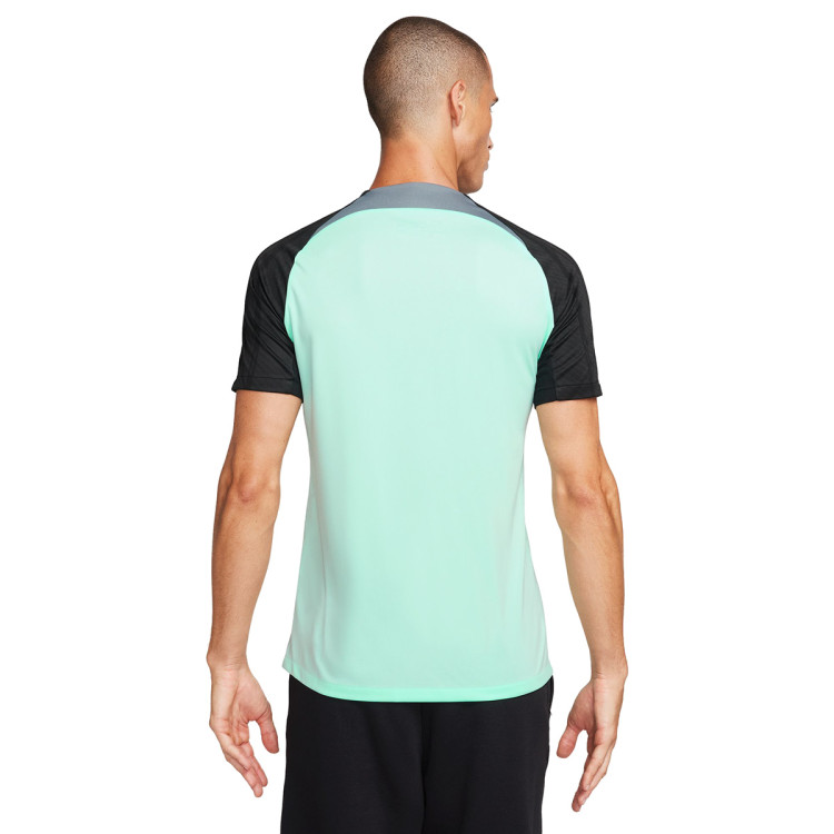 camiseta-nike-chelsea-fc-training-2023-2024-mint-foam-cool-grey-black-1.jpg
