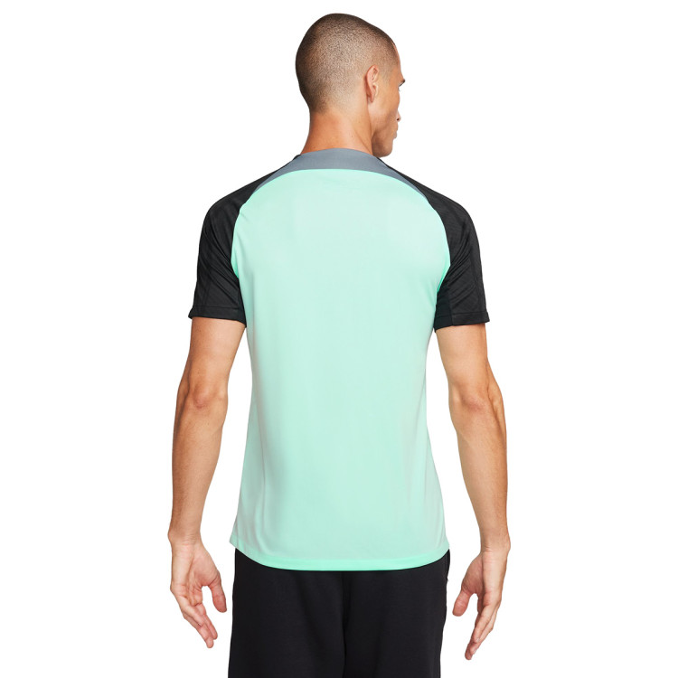 camiseta-nike-chelsea-fc-training-2023-2024-mint-foam-cool-grey-black-1