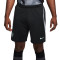 Nike Chelsea FC Training 2023-2024 Shorts