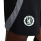 Nike Chelsea FC Training 2023-2024 Shorts