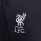 Pantalon Nike Liverpool FC Entraînement 2023-2024