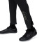 Pantalón largo Paris Saint-Germain x Jordan Training 2023-2024 Black-Black-Stone