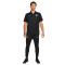 Pantalón largo Chelsea FC Training 2023-2024 Black-Mint Foam