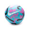 Nike Colección Premier League 2023-2024 Bal