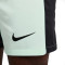 Nike Chelsea FC Third Kit 2023-2024 Shorts