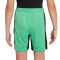 Pantalón corto Atlético de Madrid Tercera Equipación 2023-2024 Niño Spring Green-Black