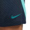 Kratke hlače Nike FC Barcelona Training 2023-2024