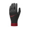 Liverpool FC 2023-2024 Gloves