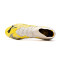 Zapatos de fútbol Puma Future Pro FG/AG