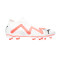 Zapatos de fútbol Puma Future Match FG/AG