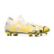 Scarpe Puma Future Match FG/AG