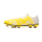 Zapatos de fútbol Puma Future Play FG/AG