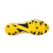 Zapatos de fútbol Puma Future Play FG/AG