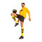 Puma BVB Borussia Training 2023-2024 Jack