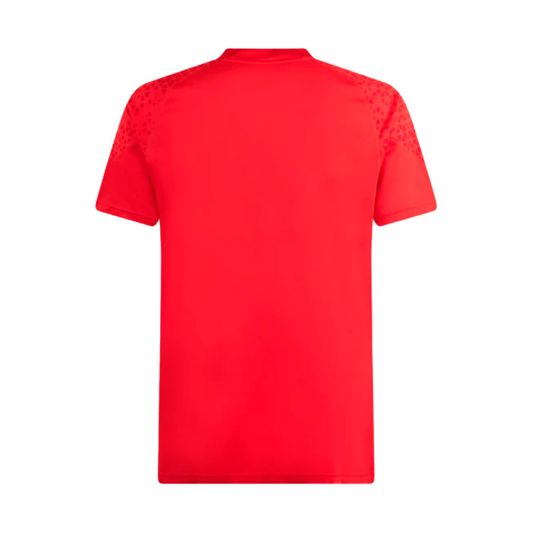 camiseta-puma-ac-milan-training-2023-2024-red-feather-gray-1