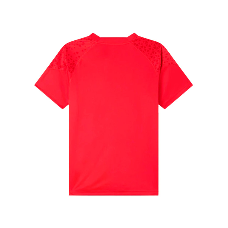 camiseta-puma-ac-milan-training-2023-2024-nino-red-feather-gray-1
