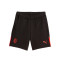 Pantaloncini Puma AC Milan Fanswear 2023-2024