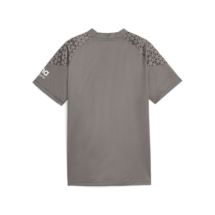 camiseta-puma-valencia-cf-training-2023-2024-medium-gray-1