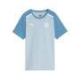 Manchester City Fanswear 2023-2024-Blauer, tiefgründiger Tauchgang