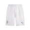 Puma Kids AC Milan Away Kit 2023-2024 Shorts