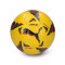 Ballon Puma Orbita LaLiga 2023-2024 Quality