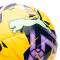 Puma Primeira Liga 2023-2024 Ball
