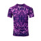 Camiseta ACF Fiorentina Pre-Match 2023-2024 Violet