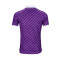 Camiseta ACF Fiorentina Primera Equipación Authentic 2023-2024 Purple