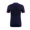 Kappa ACF Fiorentina Third Kit Authentic 2023-2024 Jersey
