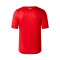 Camiseta Lille Primera Equipación 2023-2024 Red