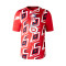 Camiseta Lille Pre-Match 2023-2024 Red