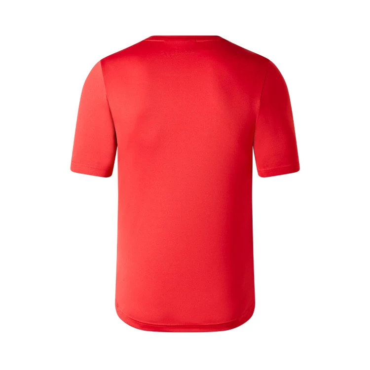 camiseta-new-balance-lille-pre-match-2023-2024-red-1