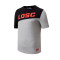Camiseta Lille Fanswear 2023-2024 Grey