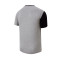 Camiseta Lille Fanswear 2023-2024 Grey