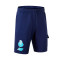 New Balance FC Porto Fanswear 2023-2024 Bermuda shorts