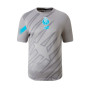 FC Porto Training 2023-2024 Grey