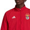 Jakna adidas SLB Benfica Pre-Match 2023-2024