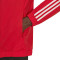 adidas SLB Benfica Pre-Match 2023-2024 Jacket