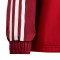 Chaqueta SLB Benfica Fanswear 2023-2024 Niño Power Red