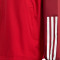 Chaqueta SLB Benfica Fanswear 2023-2024 Niño Power Red