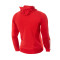 Sudadera SLB Benfica Fanswear 2023-2024 Niño Power Red