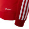 Sudadera SLB Benfica Fanswear 2023-2024 Niño Power Red