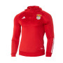 SLB Benfica Fanswear 2023-2024 Criança