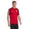 Camiseta SLB Benfica Training 2023-2024 Power Red