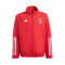 Giacca adidas SLB Benfica Pre-Match 2023-2024 Bambino