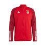 SLB Benfica Training 2023-2024 Power Red