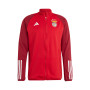 SLB Benfica Training 2023-2024-team power red 2