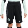 Kids Chelsea FC Training 2023-2024-Black-Cool Grey-Mint Foam