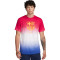 Koszulka Nike FC Barcelona Fanswear 2023-2024