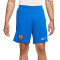 Nike FC Barcelona Away Kit 2023-2024 Shorts